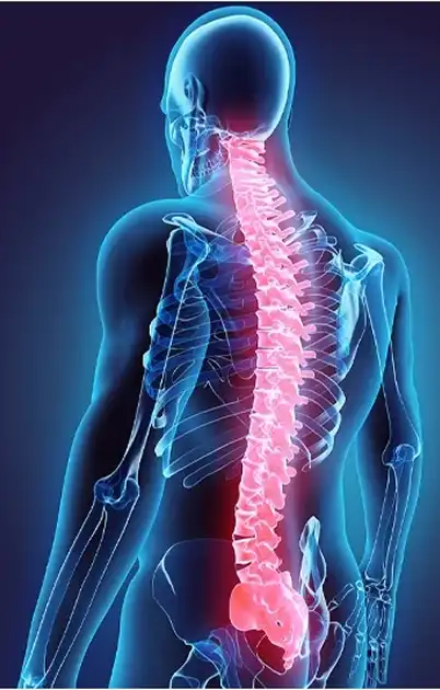 Levels of spinal cord injury and how they affect movement and sensation